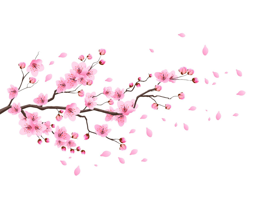 bg_left_k